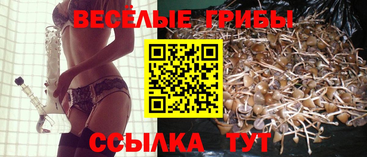 Оренбург  Галлюциногенные грибы MAGIC MUSHROOMS  Галлюциногенные грибы MAGIC MUSHROOMS  Вход с VPN 