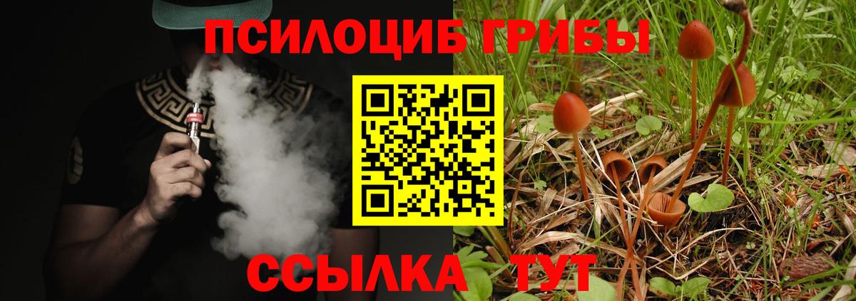 Галлюциногенные грибы Cubensis Оренбург